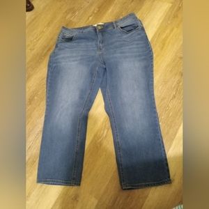 Est 1946 denim size 18w Cropped Pants